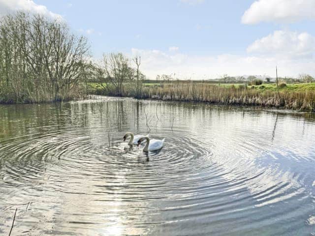 Surrounding area | Willow Lodge, Boys Hill, near Sherborne