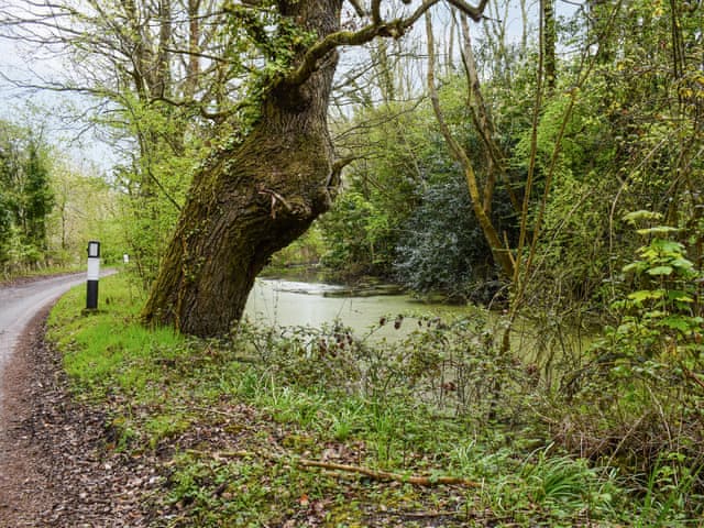 Exterior | Wade Hall, North Cove