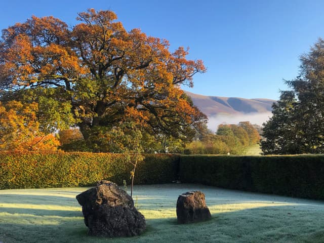 Garden | Autumn Leaves, Keswick