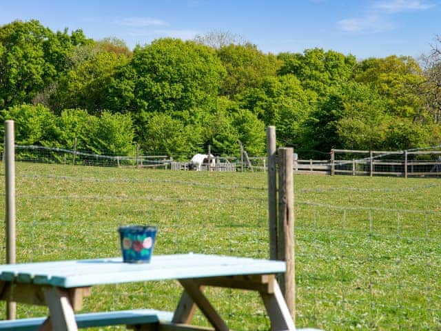 Sitting-out-area | Forget Me Not French Roulotte, Worthing