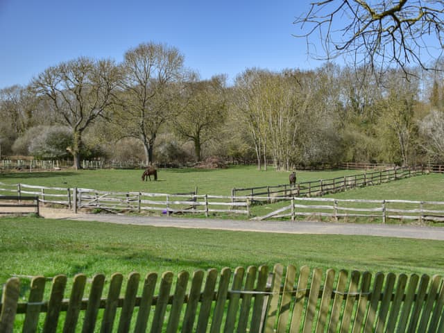 View | Lily Pad 1 - Lily Pad Cottages, Nassington, near Stamford