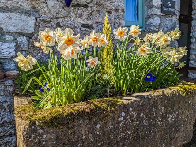 Outdoor | The Coach House - Brackenthwaite Holidays, Arnside and Silverdale