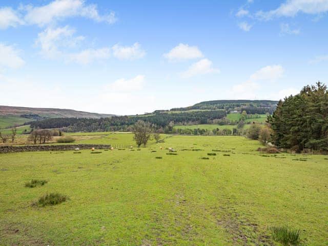 Surrounding area | The Cottage - Harbut Law Holiday Cottages, Alston