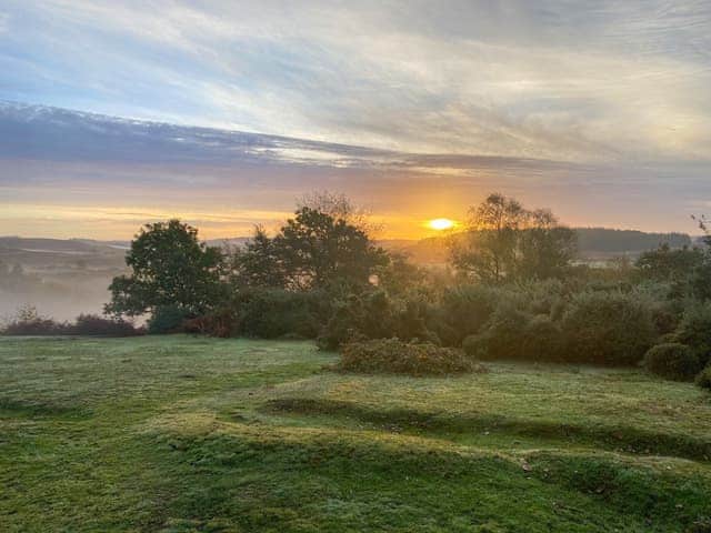 Lots of beautiful walks straight from your door. | The Annexe @ The Roost, Frogham, near Ringwood