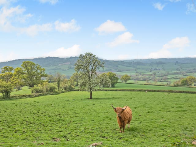 Surrounding area | Osmore Orchard, Membury