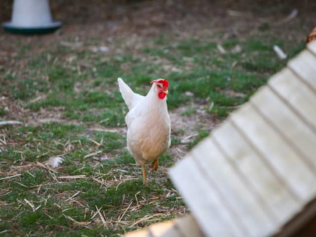 Outdoor | The Calving Barn - North Thorne, Bratton Fleming