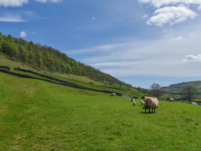 Surrounding area | Horseshoe Cottage, Starbotton