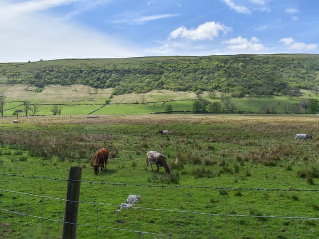 Surrounding area | Horseshoe Cottage, Starbotton