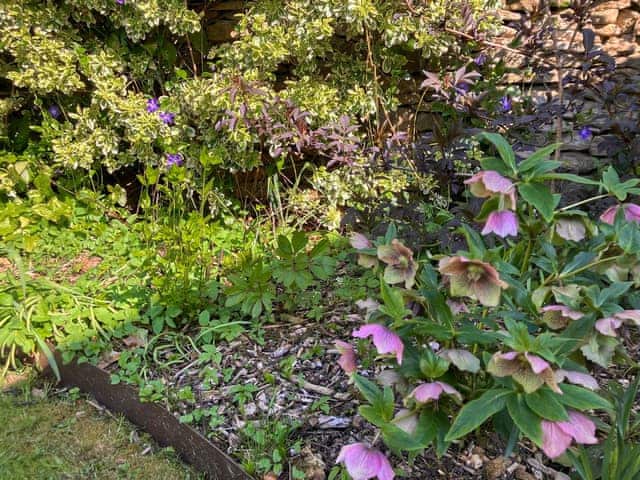 Garden | The Hideaway, Hotham, near Beverley