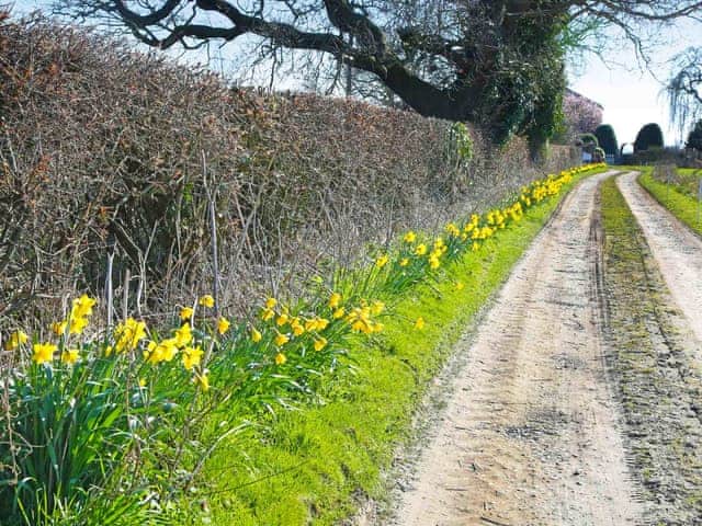 Driveway | The Old Stables - Corporation Farm Cottages, Tickton, near Beverley