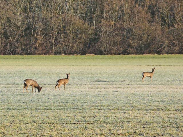 Surrounding area | The Old Stables - Corporation Farm Cottages, Tickton, near Beverley