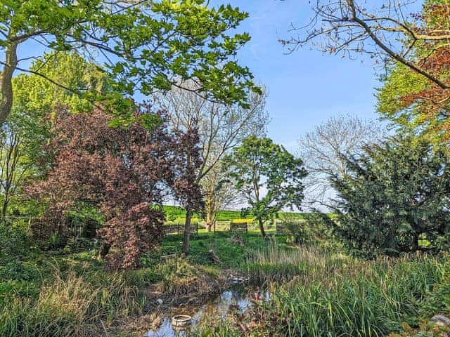 Surrounding area | The Nest, Wykenham, near Spalding