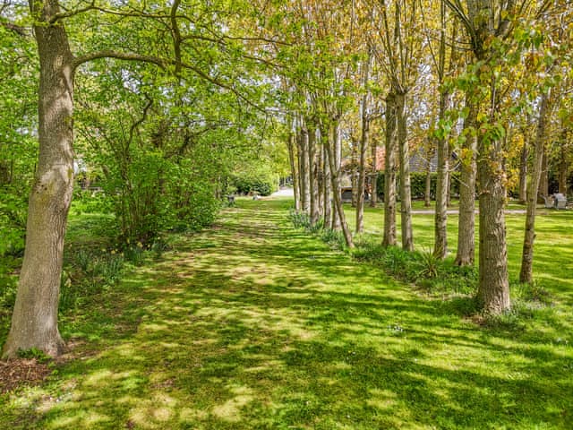 Garden and grounds | Treetops - Chestnut Tree Barns, Ilketshall St Margaret near Bungay