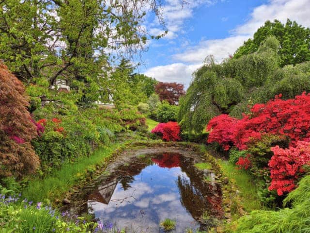 Surrounding area | The Studio, Hartfield