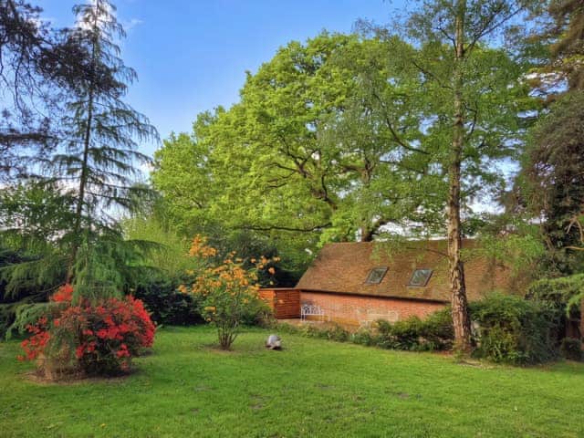 Surrounding area | The Studio, Hartfield