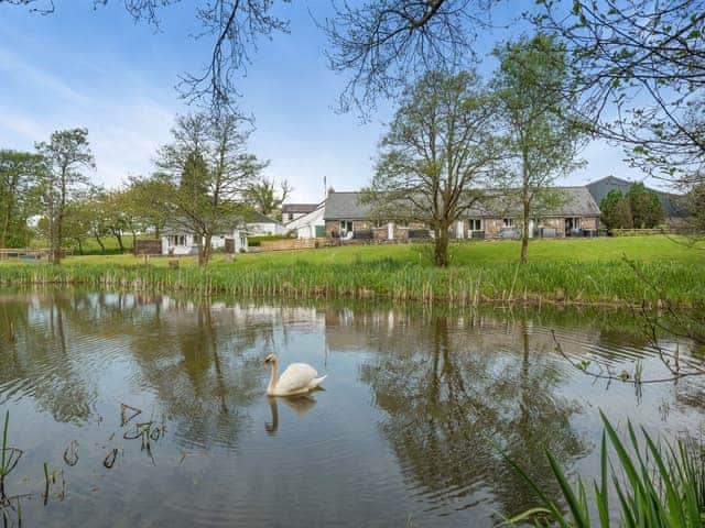 Exterior | Owl Cottage - Maesydderwen Holiday Cottages, Llandeilo
