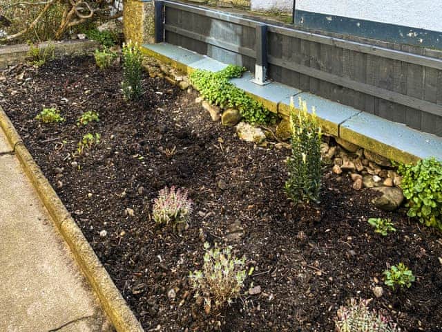 Flowers in the front garden | Morecambe Home Stays, Lancaster
