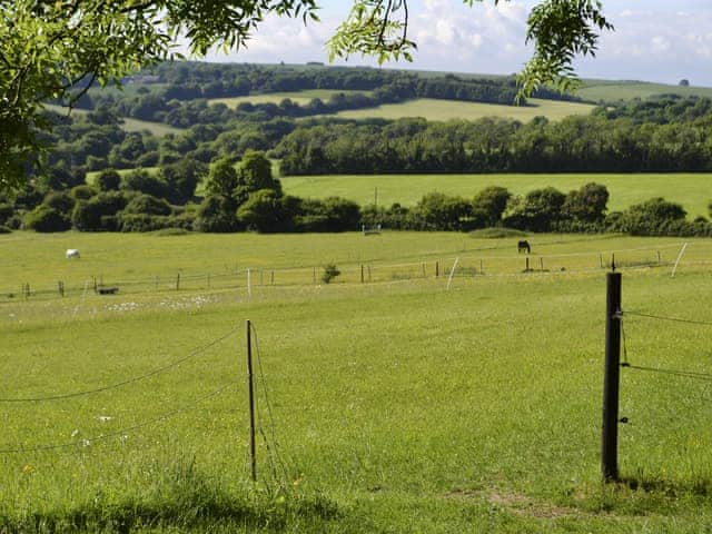 Surrounding area | Little Longmead, Findon, near Worthing