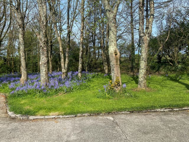 Surrounding area | Morwenna - Morwenna and Demelza Apartments, Truro