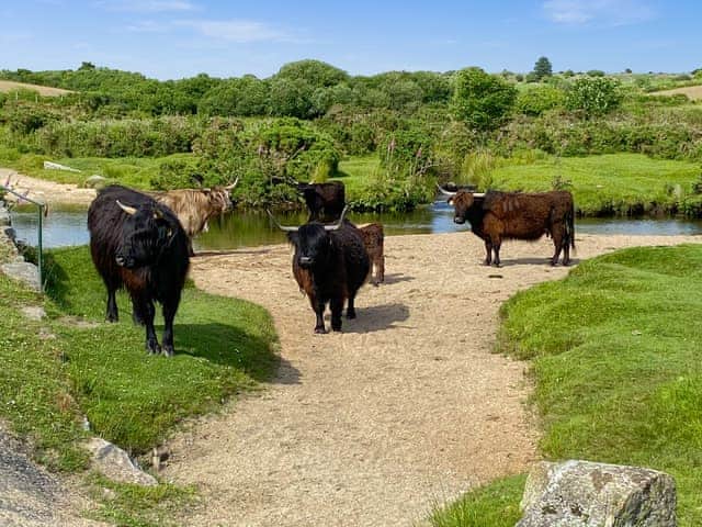 Surrounding area | The Roost - Sandy Barn Cottages, St Breward, Bodmin Moor