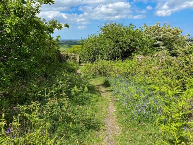 Surrounding area | The Roost - Sandy Barn Cottages, St Breward, Bodmin Moor