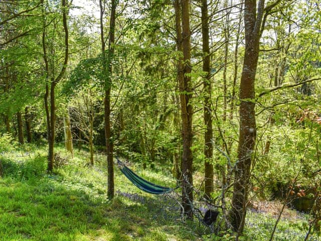 Outdoor | The Shepherds Hut at Rosewood House, Liskeard