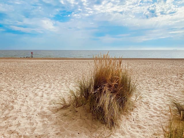 Surrounding area | Phoenix Sunrise, corton