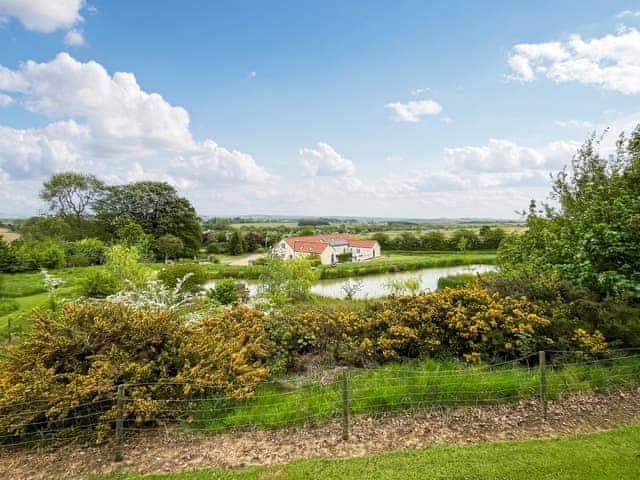 View of the natural grounds at Greetham Retreat  | Katies Corner - Greetham Retreat, Greetham, near Horncastle