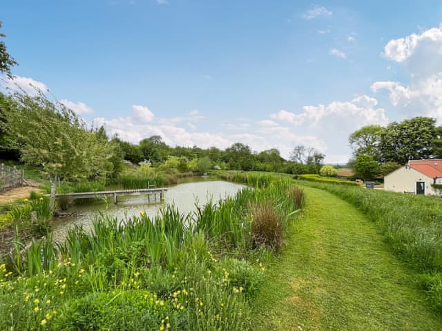 View of the 4 acres of shared natural grounds at Greetham Retreat | Katies Corner - Greetham Retreat, Greetham, near Horncastle