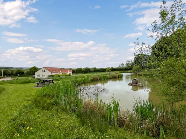 Wildlife pond in 4 acres of shared natural grounds | Wendys Wing - Greetham Retreat, Greetham, near Horncastle