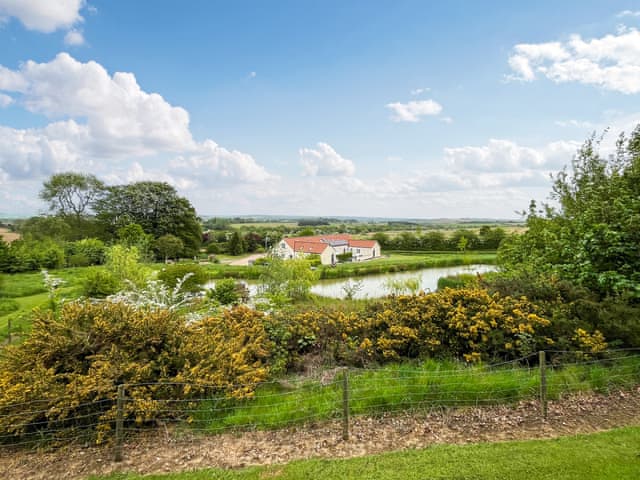 Wildlife pond in 4 acres of shared natural grounds | Wendys Wing - Greetham Retreat, Greetham, near Horncastle
