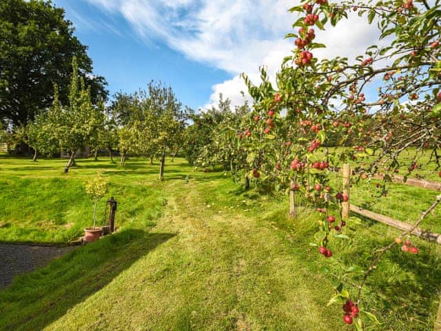 Garden | The Old Barn, Church Stretton