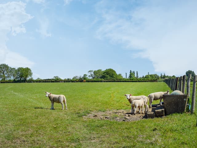 Exterior | The Cabin - Rectory Farm, Northampton