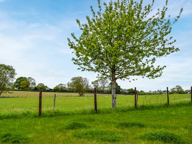 Exterior | Shepherds Hut - Rectory Farm, Northampton