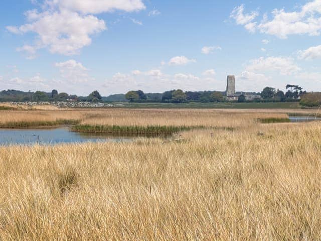 Reed Beds by Covehithe Beach | Stable End - Wissett Place Cottages, Halesworth