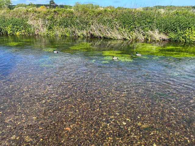 Surrounding area | Duckling Cottage, Canterbury