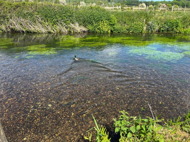 Surrounding area | Duckling Cottage, Canterbury