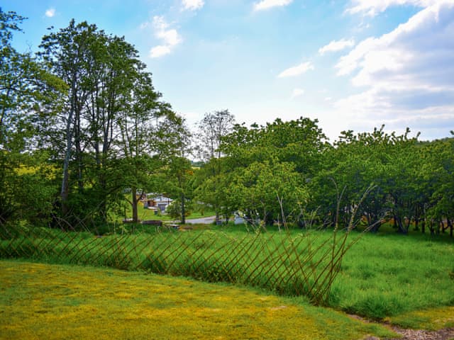 Surrounding area | Russet Yurt - Walnut Farm, Beaminster