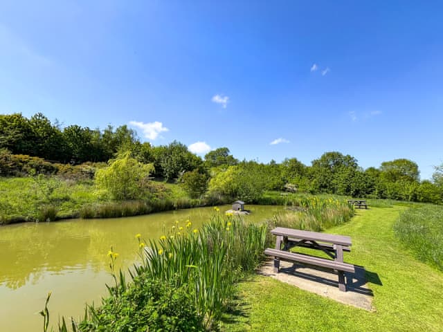 Wildlife Pond in 4 acres of shared private natural grounds at Greetham Retreat | Roses Rest - Greetham Retreat, Greetham, near Horncastle