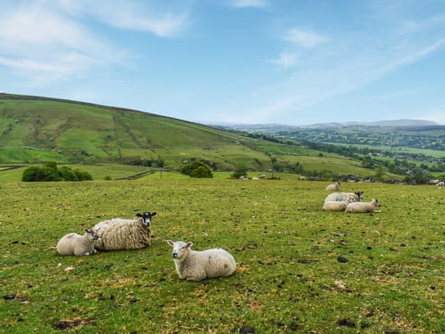 View | Bracken Hut at Copy House Hideaway, Earby