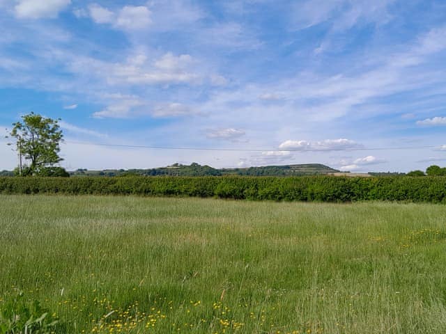 Surrounding area | Cowdea 2, Bettiscombe