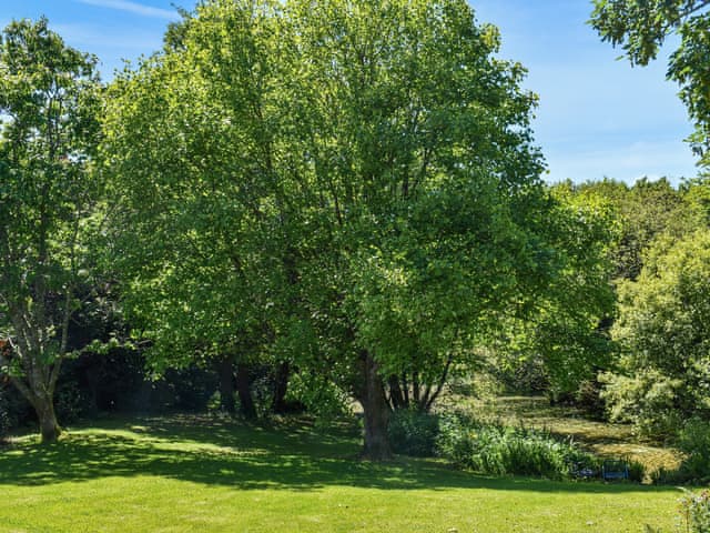 Surrounding area | The Stable - Pitt Barn Cottages, Callington