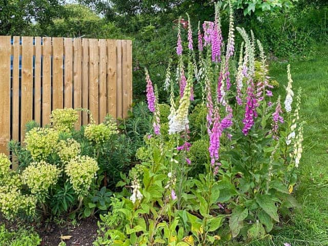 dog friendly paddock / outside seated area | Wild Rose - Treligga Farm Cottages, Treligga, near Port Isaac