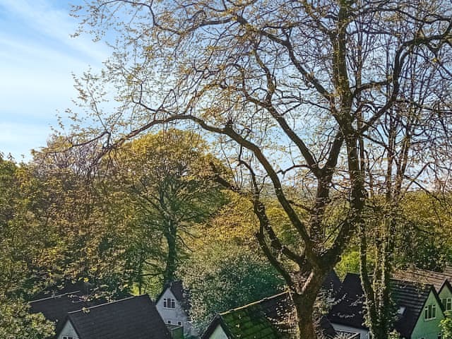 Surrounding area | Valley Lodge 56, Gunnislake