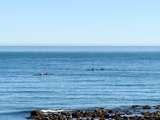 Surrounding area | Waterside, Ventnor