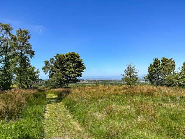 A snippet of our 20+ acres of private woodland to explore | Bellshill Tower - UKG_896 : Bellshill Cottages, Belford, near Bamburgh
