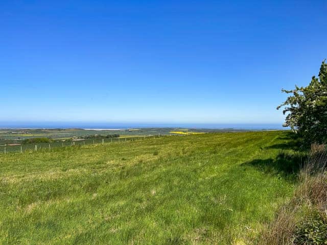 A snippet of our 20+ acres of private woodland to explore including a large open paddock with uninterrupted views of Holy Island and Bamburgh Castle | Bellshill Tower - UKG_896 : Bellshill Cottages, Belford, near Bamburgh