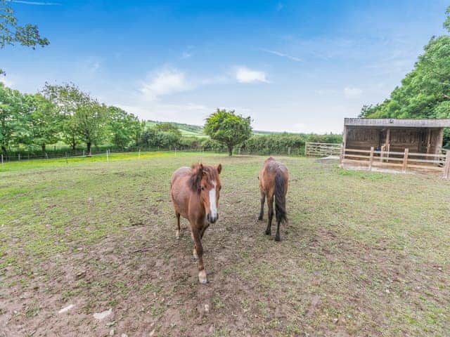 Surrounding area | Rose Cottage, Hartland