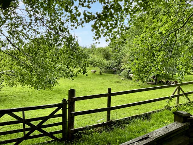 Surrounding area | Court Place, Misterton, near Chard