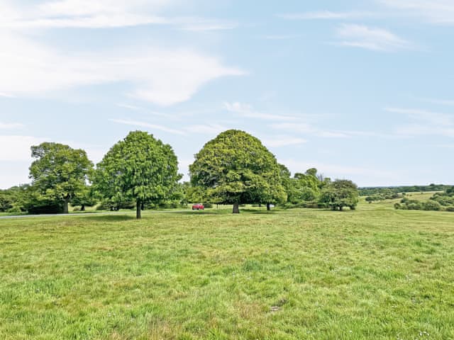 Surrounding area | Holly’s Apartment, Beverley